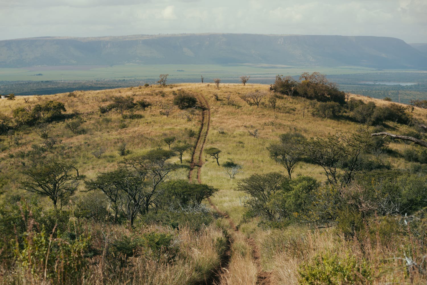 WILDSERIES Somkhanda MTB Challenge