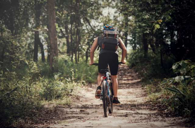 Freepik Rider