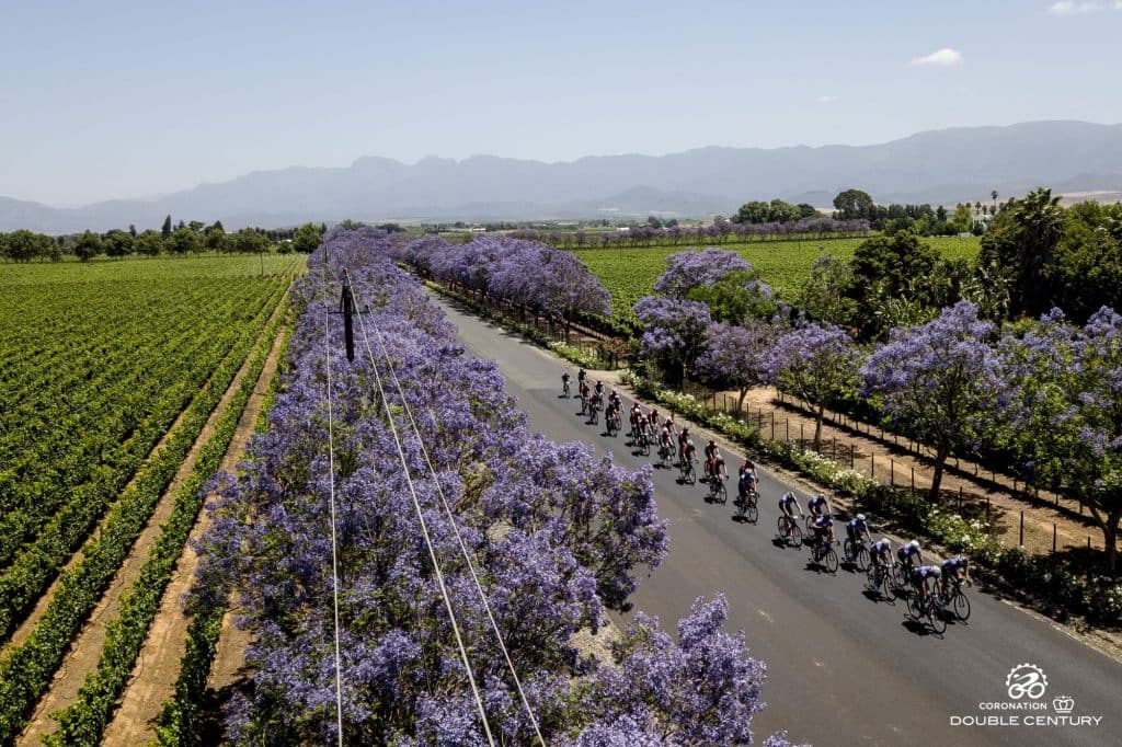 CK_181124_CoronationDC_2555