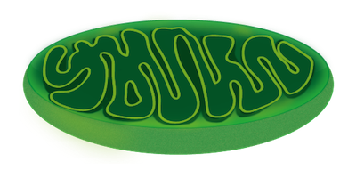 201601_mitochondria