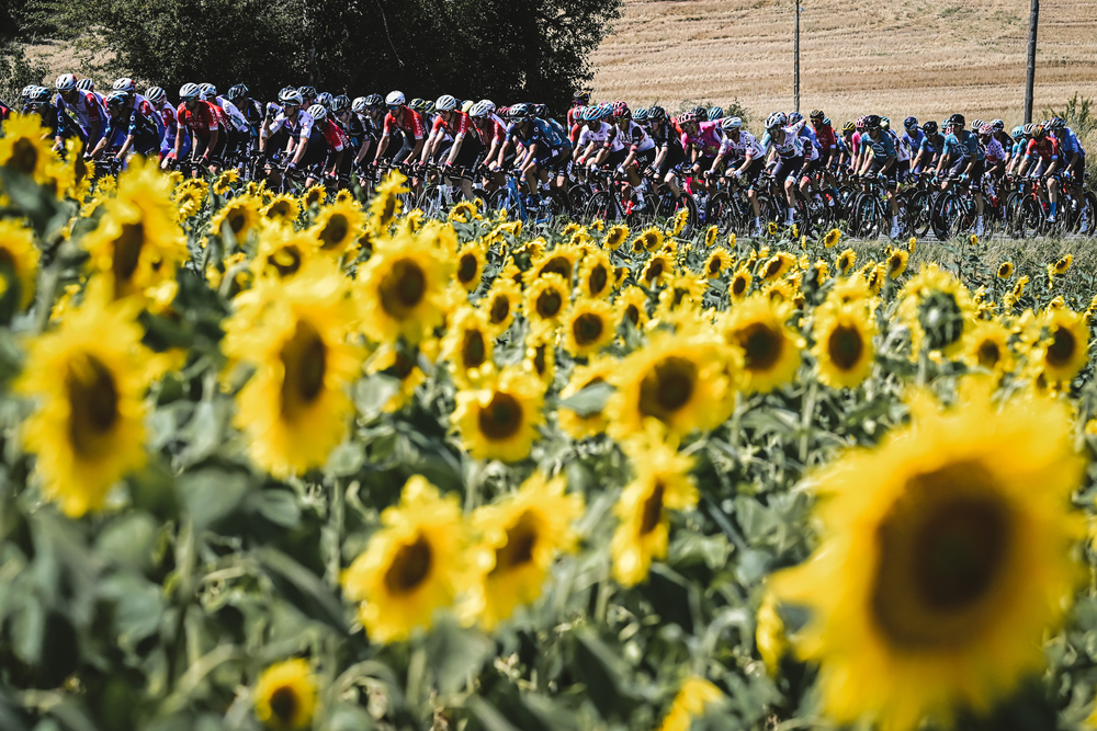 17/07/2022 – Tour de France 2022 – Etape 15 – Rodez / Carcassonne (202,5km) –