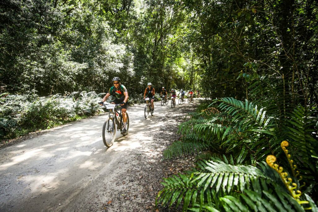 The indigenous forests of the Garden Route provide spectacular riding for the second half of the course. Photo by Oakpics.com.