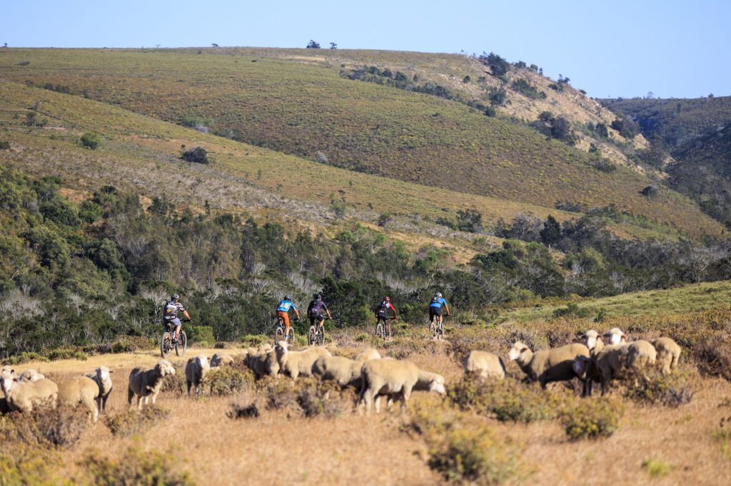 Farmland scenes and endless rolling hills. Mountain biking will take you to some stunning places in the Eastern Cape (c) Sam Clark