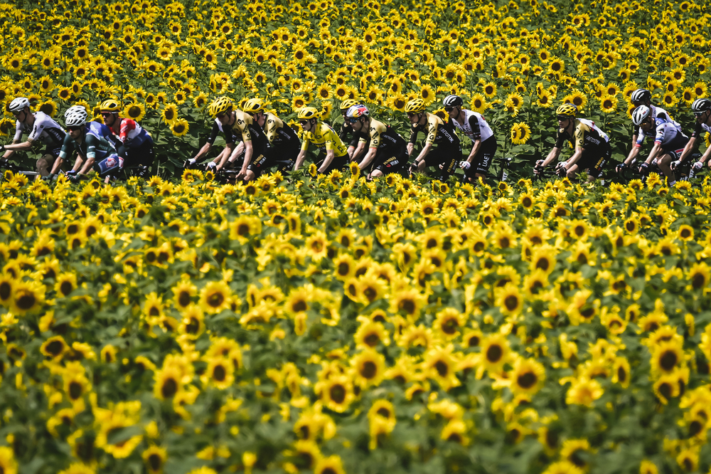 08/07/2023 – Tour de France 2023 – Etape 8 – Libourne / Limoges (200,7 km) –