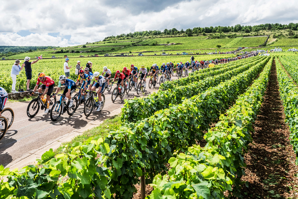 Riders during Stage 6 of the 2024 Tour de France.