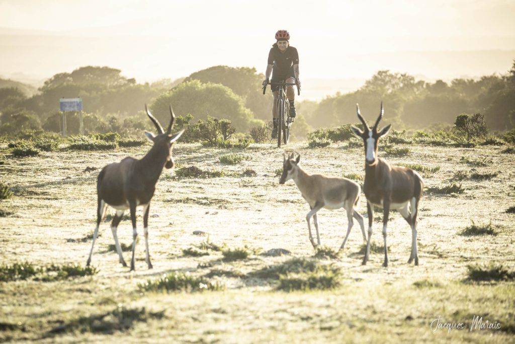 #DeHoop #conservation #experience #nature