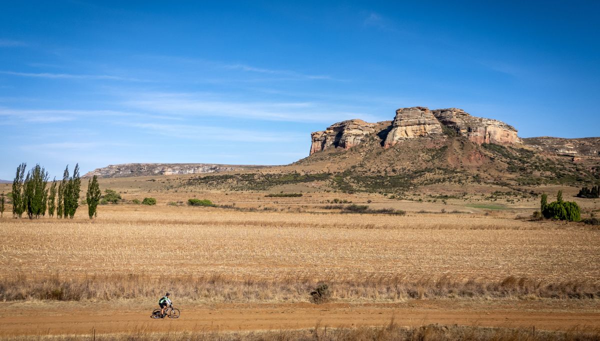 A rider during the go2berg mtb stage race