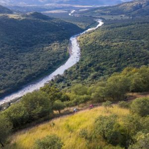 sani2c