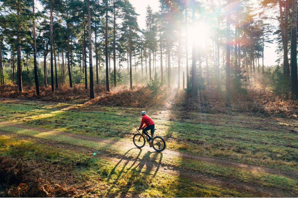 cycling – column