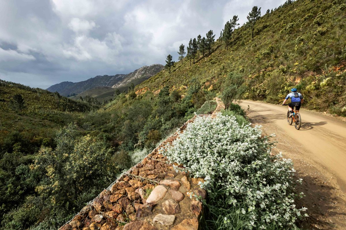 The beautiful Outeniqua Mountain scenery and the sweeping bends of Prince Alfred’s Pass make the Lions Karoo to Coast one of South Africa’s most iconic bike races.